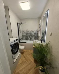 532885 - zdjęcie nr 4
