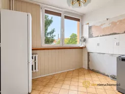 384565 - zdjęcie nr 3