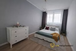 262804 - zdjęcie nr 1