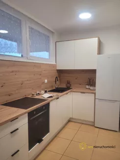 262804 - zdjęcie nr 4