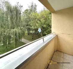 969149 - zdjęcie nr 2