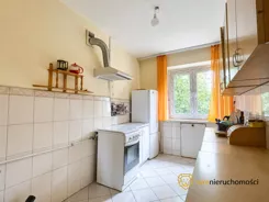 980242 - zdjęcie nr 2