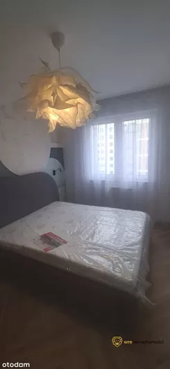 278518 - zdjęcie nr 3