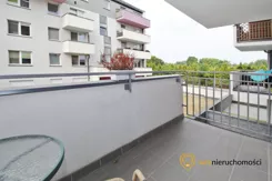 966353 - zdjęcie nr 2