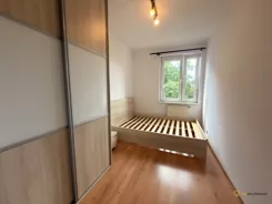 540336 - zdjęcie nr 3