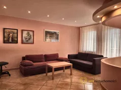 462737 - zdjęcie nr 0