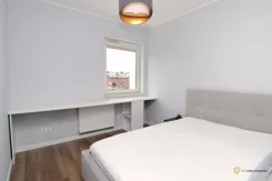 251455 - zdjęcie nr 2