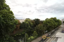 980690 - zdjęcie nr 4