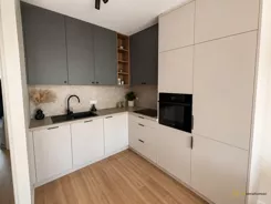 445513 - zdjęcie nr 2