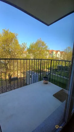 627230 - zdjęcie nr 1