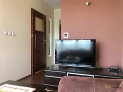 348642 - zdjęcie nr 0