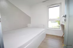 273880 - zdjęcie nr 4
