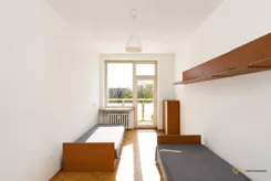 664333 - zdjęcie nr 3