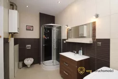 384231 - zdjęcie nr 3