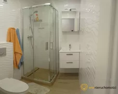 204804 - zdjęcie nr 3