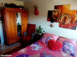 138025 - zdjęcie nr 3