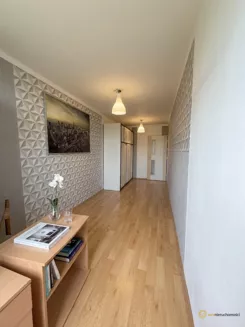858164 - zdjęcie nr 1