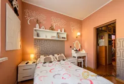 237394 - zdjęcie nr 3