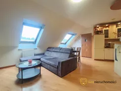 681929 - zdjęcie nr 0