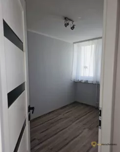 555589 - zdjęcie nr 2