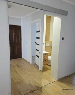 555589 - zdjęcie nr 3