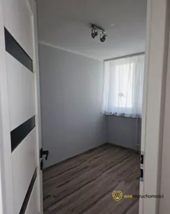 215558 - zdjęcie nr 2