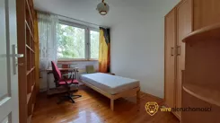 173129395 - zdjęcie nr 3