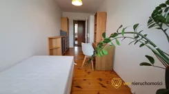 942472 - zdjęcie nr 2