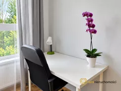 935657 - zdjęcie nr 1