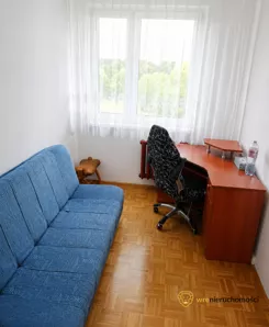 289949 - zdjęcie nr 0