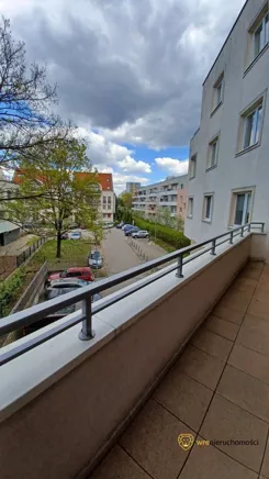 333558 - zdjęcie nr 1