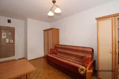 278444 - zdjęcie nr 3