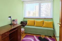 317470 - zdjęcie nr 3