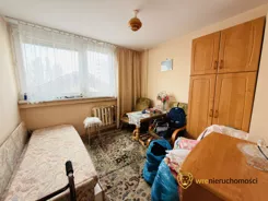 446507 - zdjęcie nr 2