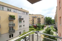 589691 - zdjęcie nr 2