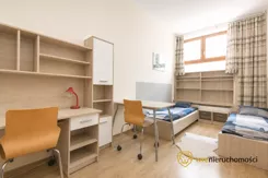 818413 - zdjęcie nr 1