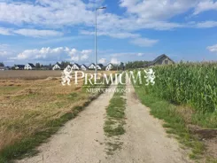 28810117 - zdjęcie nr 3