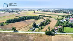 LER-GS-2576 - zdjęcie nr 3