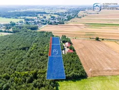LER-GS-3608 - zdjęcie nr 2