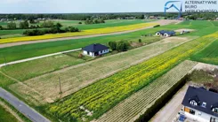 LER-GS-3554 - zdjęcie nr 4