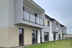 Piękna Warka - zdjęcie nr 4