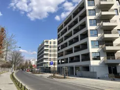 442231 - zdjęcie nr 1
