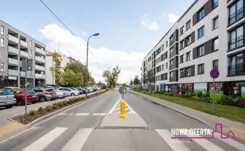 729211 - zdjęcie nr 3