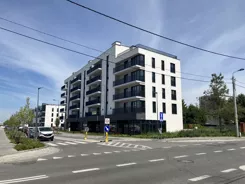 217542 - zdjęcie nr 0