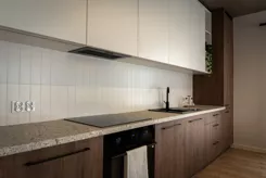 Dworska Enklawa - zdjęcie nr 4