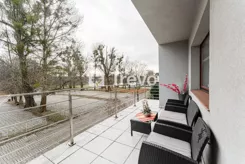 TN956425 - zdjęcie nr 3