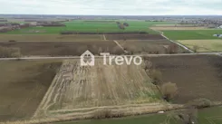 TN971272 - zdjęcie nr 0