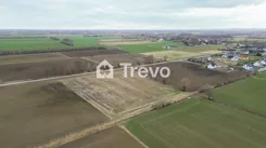 TN971272 - zdjęcie nr 1