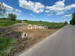 TN971272 - zdjęcie nr 3