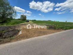 TN971272 - zdjęcie nr 4